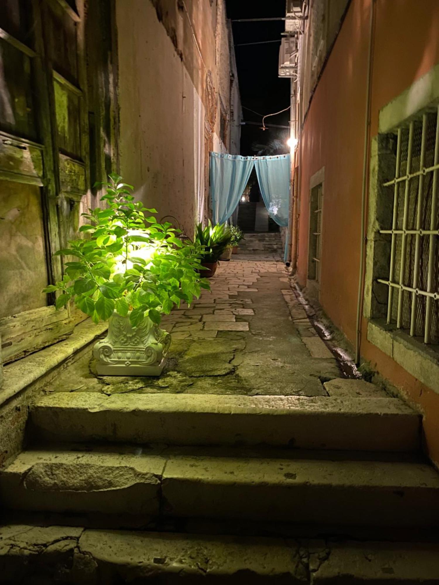 Secret Garden Apartment Zadar Eksteriør bilde
